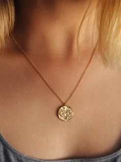 Zodiac Kette -Günstiges Kette Geschäft 1 510x680 4