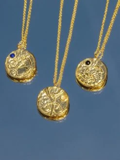 Zodiac Kette -Günstiges Kette Geschäft 18 510x680 3