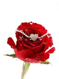 Wholehearted ARMBAND Silber -Günstiges Kette Geschäft ABE0577G.6 510x680 2