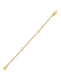 Simple Chain Extender Gold