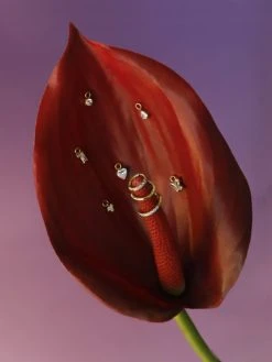 My Own Pair Silber -Günstiges Kette Geschäft OE0748.4 510x680 1