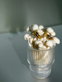 Decorous Ohrringe Silber -Günstiges Kette Geschäft OE0753G.4 510x680 1