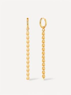 Peacock Wafer Ohrringe Gold