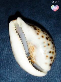 Profusion Earcuff Gold -Günstiges Kette Geschäft OR0680.1.1 510x680 1