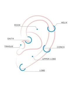 Double Glow Titan Piercing Gold -Günstiges Kette Geschäft Piecing 510x680 4