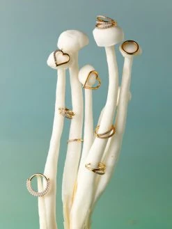 Single Glow Titan Piercing Gold -Günstiges Kette Geschäft Piecing.1 510x680 2