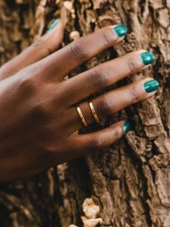 Double Ring Silber -Günstiges Kette Geschäft RE0044.4 510x680 1