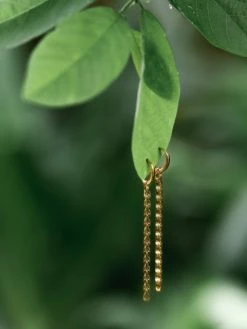 Peacock Wafer Ohrringe Gold -Günstiges Kette Geschäft RE0182.1 510x680 2